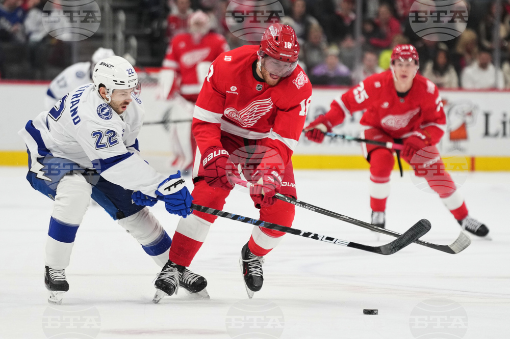 Lightning Red Wings Hockey