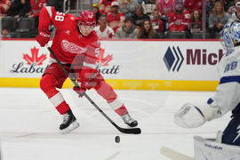 Lightning Red Wings Hockey