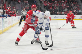 Lightning Red Wings Hockey