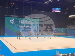 Международна федерация по естетическа групова гимнастика - генерална асамблея