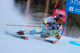 United States World Cup Giant Slalom Skiing