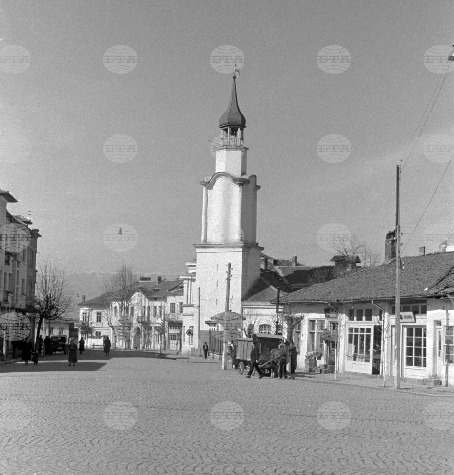 Празник на Ботевград