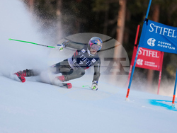 United States World Cup Giant Slalom Skiing