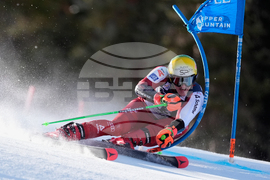 United States World Cup Giant Slalom Skiing