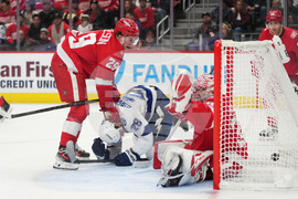 Lightning Red Wings Hockey