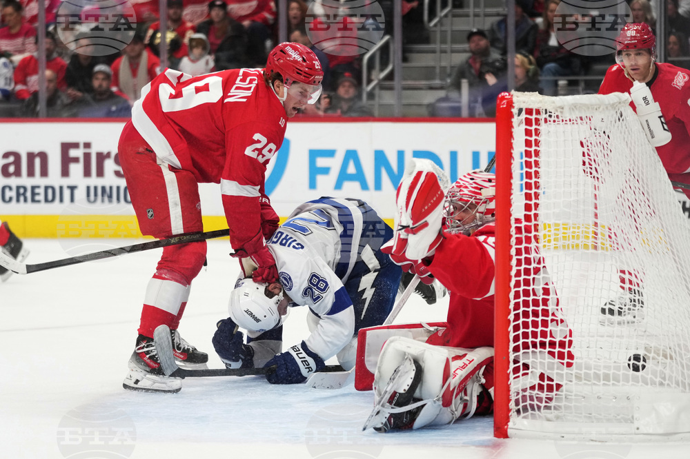 Lightning Red Wings Hockey