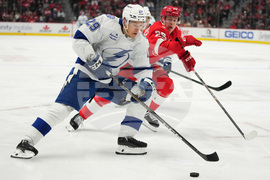 Lightning Red Wings Hockey