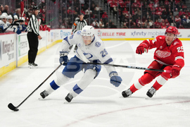 Lightning Red Wings Hockey