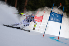 United States World Cup Giant Slalom Skiing