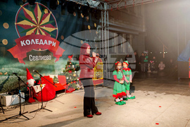 Севлиево - коледен базар - елха