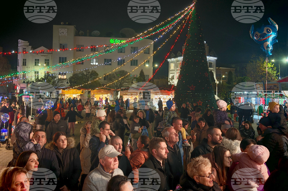 Севлиево - коледен базар - елха