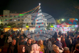 Севлиево - коледен базар - елха
