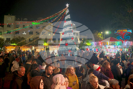 Севлиево - коледен базар - елха