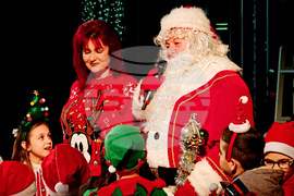 Севлиево - коледен базар - елха