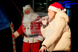 Севлиево - коледен базар - елха