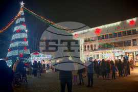 Севлиево - коледен базар - елха