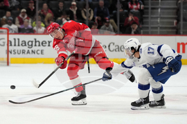 Lightning Red Wings Hockey