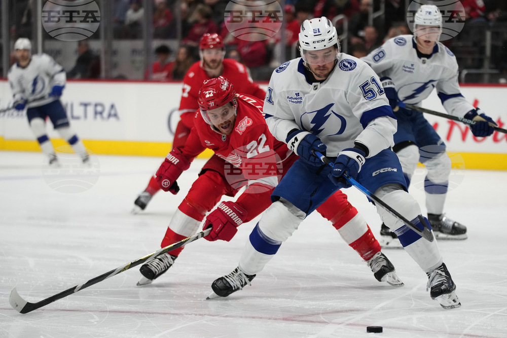 Lightning Red Wings Hockey