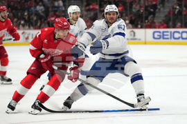 Lightning Red Wings Hockey