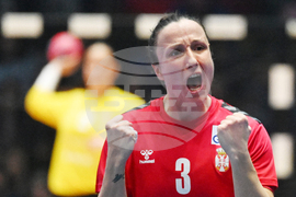 Germany World Handball