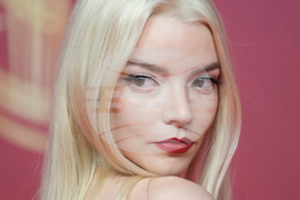 Marrakech Film Festival