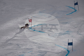 United States World Cup Giant Slalom Skiing