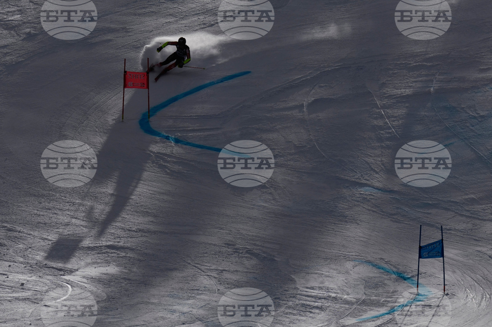 United States World Cup Giant Slalom Skiing