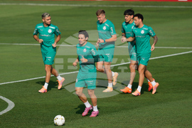 Peru Brazil Copa Libertadores Soccer