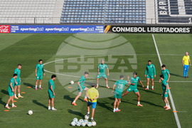 Peru Brazil Copa Libertadores Soccer