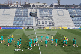 Peru Brazil Copa Libertadores Soccer