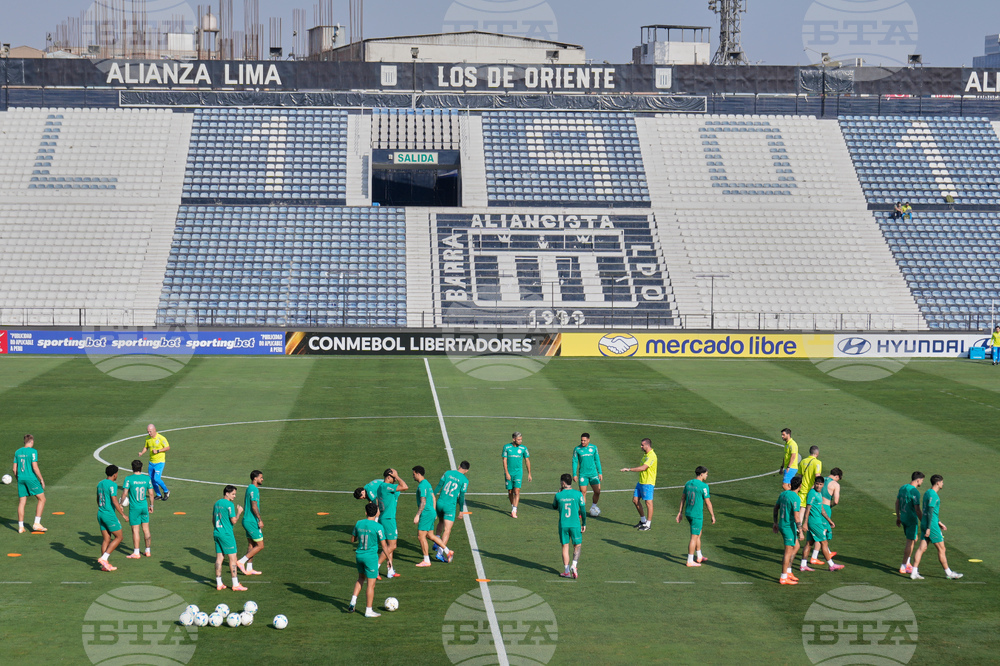 Peru Brazil Copa Libertadores Soccer