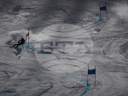 United States World Cup Giant Slalom Skiing