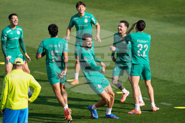 Peru Brazil Copa Libertadores Soccer