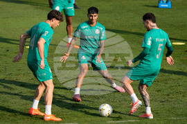 Peru Brazil Copa Libertadores Soccer