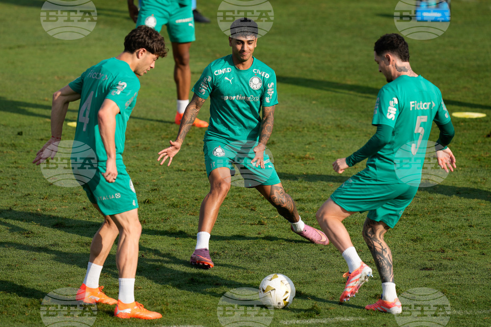 Peru Brazil Copa Libertadores Soccer