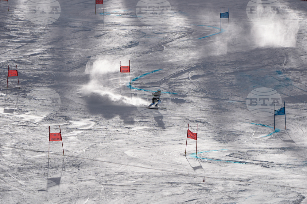 United States World Cup Giant Slalom Skiing