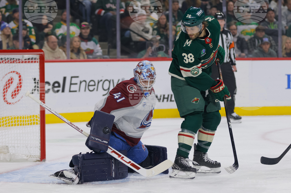 Avalanche Wild Hockey