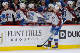 Avalanche Wild Hockey