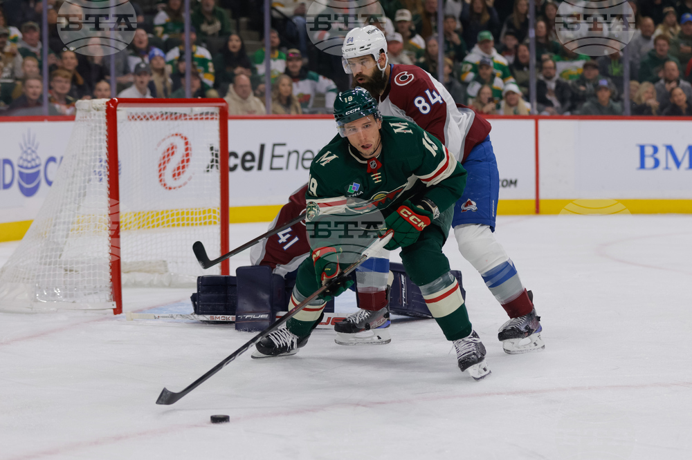 Avalanche Wild Hockey