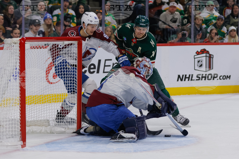 Avalanche Wild Hockey