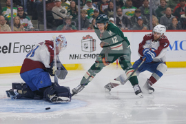 Avalanche Wild Hockey