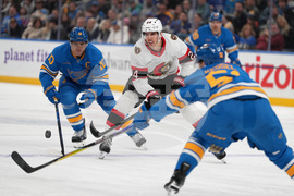 Senators Blues Hockey