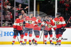 Flames Panthers Hockey