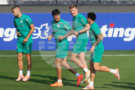 Peru Brazil Copa Libertadores Soccer