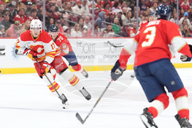 Flames Panthers Hockey