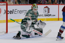 Avalanche Wild Hockey