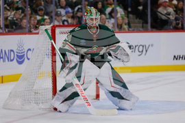 Avalanche Wild Hockey