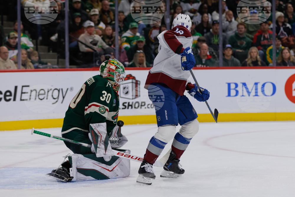 Avalanche Wild Hockey