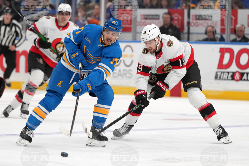 Senators Blues Hockey