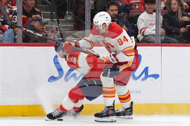 Flames Panthers Hockey